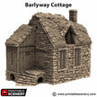 Barlyway Cottage - King and Country, DnD, Pathfinder, 15mm, 28mm, 32mm, wargaming terrain, scenery D&D, medieval village, house, home