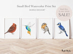 Blue Jay Bird Art Print