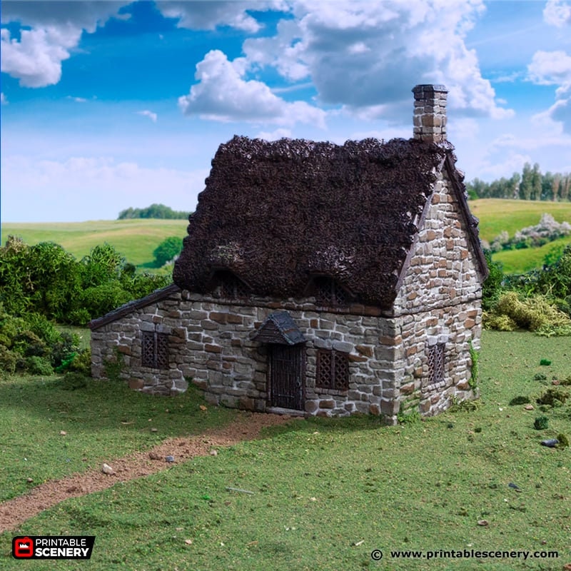 Crow Cottage - King and Country, DnD, Pathfinder, 15mm, 28mm, 32mm, wargaming terrain, scenery D&D, medieval village, house, home, town