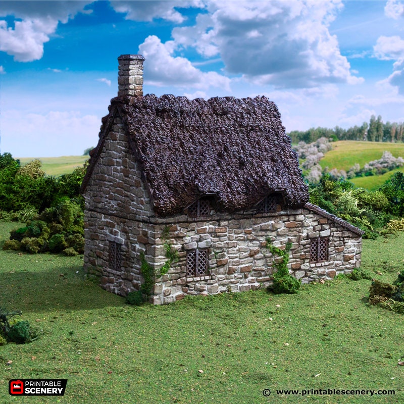 Crow Cottage - King and Country, DnD, Pathfinder, 15mm, 28mm, 32mm, wargaming terrain, scenery D&D, medieval village, house, home, town