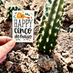 Seed Packages - Cinco de Mayo themed with Mixed Pepper Seeds - Includes 10 Packages of Pepper Seeds