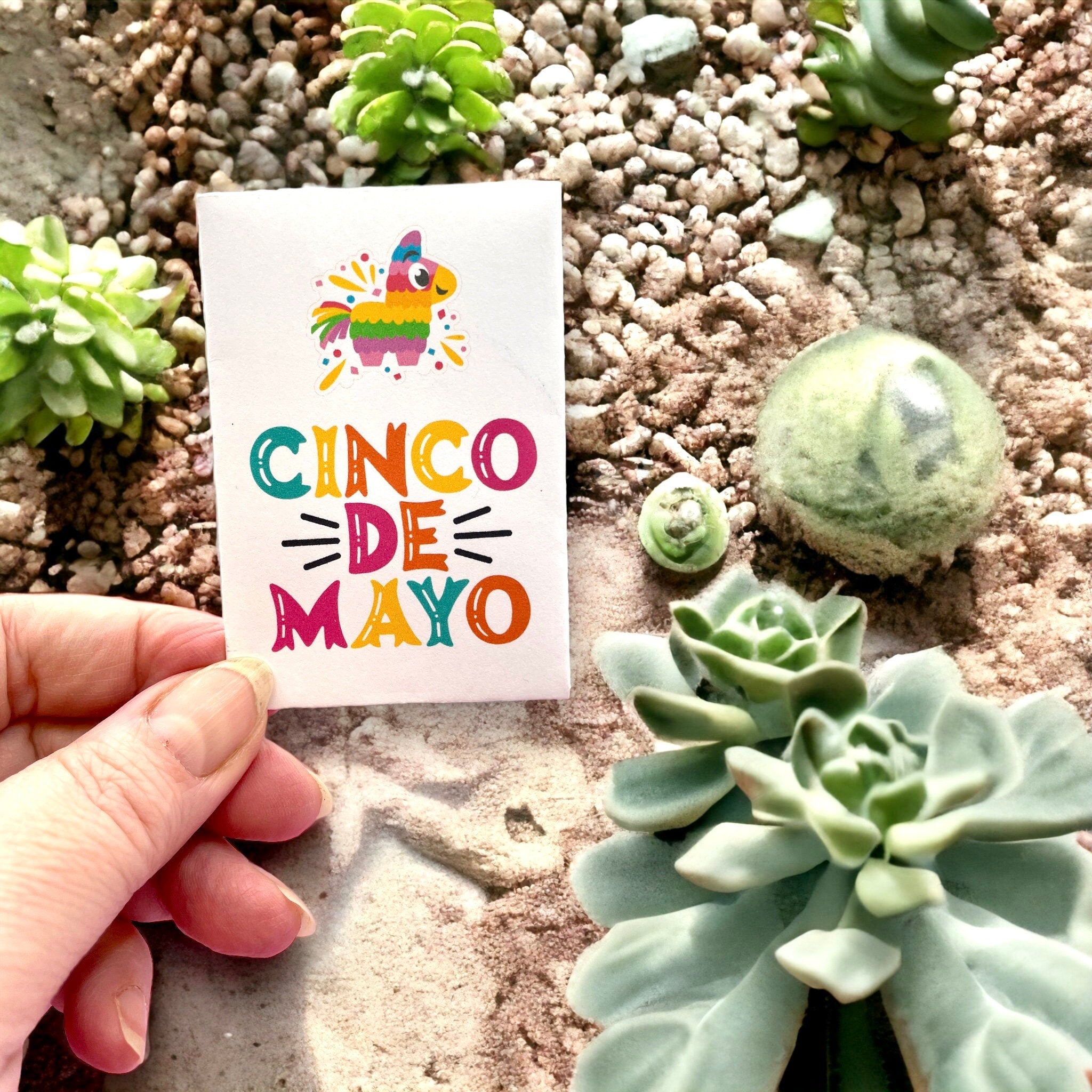 Seed Packages - Cinco de Mayo themed with Mixed Pepper Seeds - Includes 10 Packages of Pepper Seeds