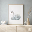 Swan Art Print