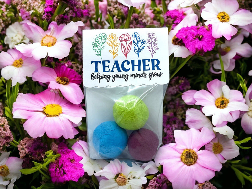 Seed Bombs - 3 Pack - Teacher Appreciation Gift to say Thank you - Canadian Wildflower