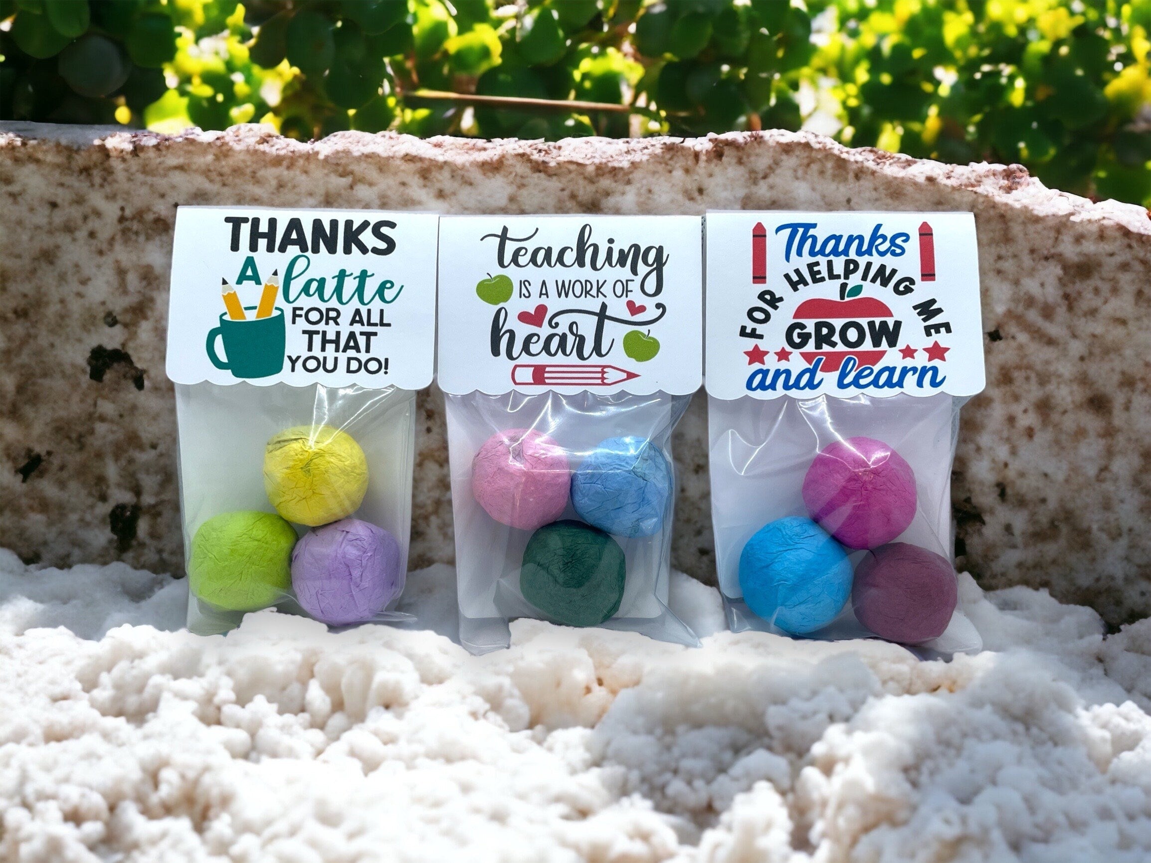 Seed Bombs - 3 Pack - Teacher Appreciation Gift to say Thank you - Canadian Wildflower