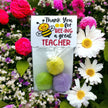 Seed Bombs - 3 Pack - Teacher Appreciation Gift to say Thank you - Canadian Wildflower