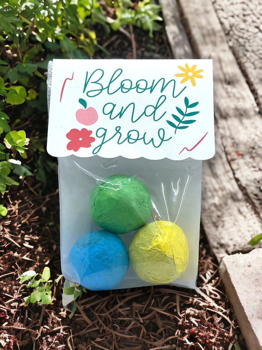 Seed Bombs - 3 Pack - Blooming Blessings - Gift of Appreciation, Motivation, and Inspiration - Canadian Wildflower
