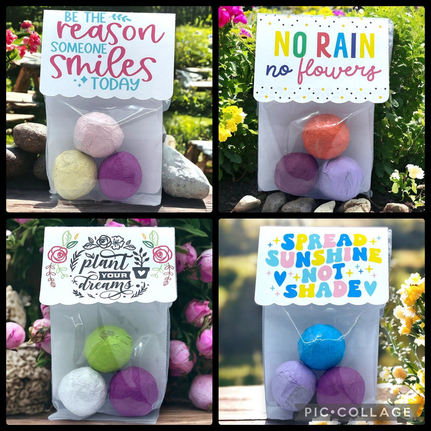 Seed Bombs - 3 Pack - Blooming Blessings - Gift of Appreciation, Motivation, and Inspiration - Canadian Wildflower