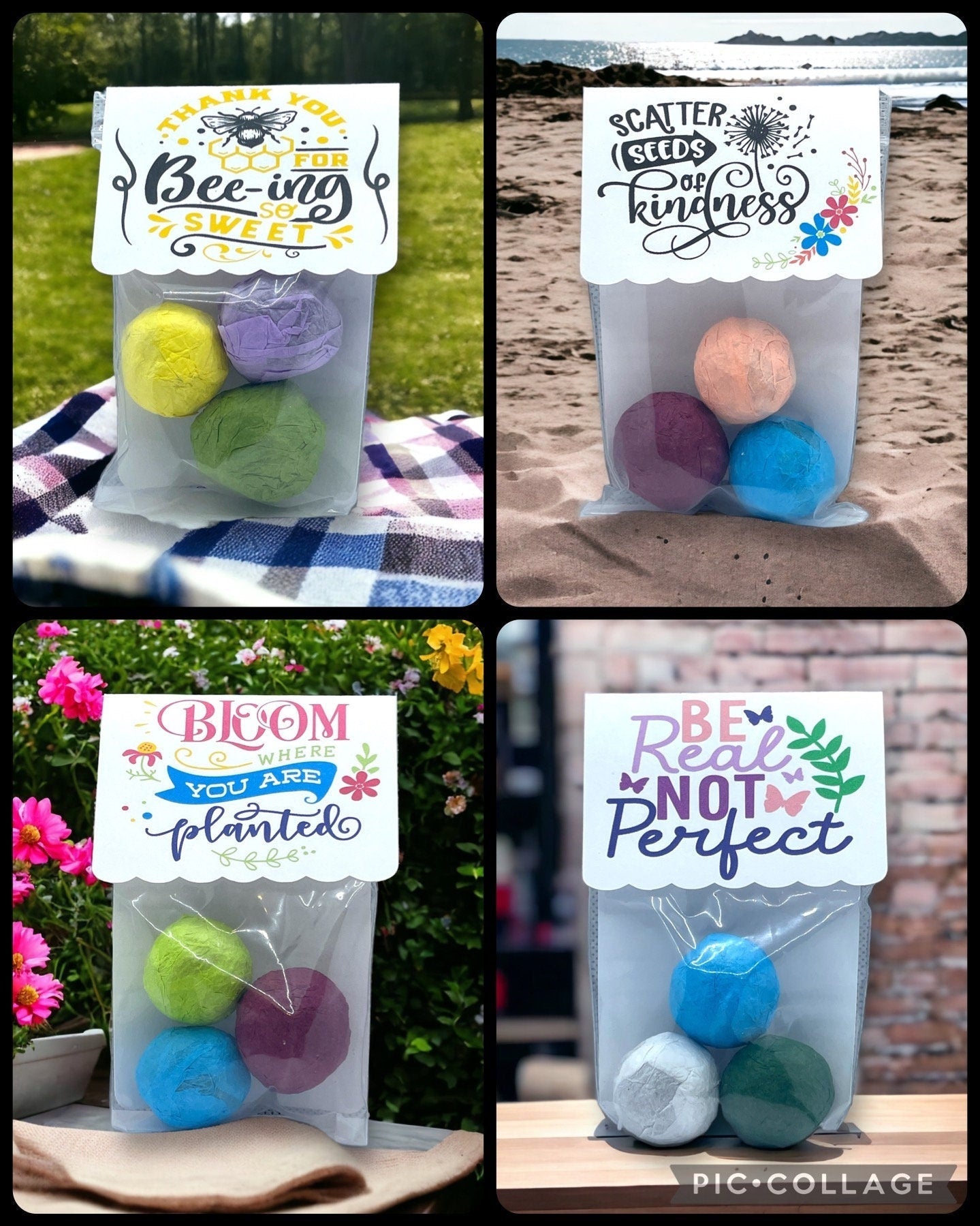 Seed Bombs - 3 Pack - Blooming Blessings - Gift of Appreciation, Motivation, and Inspiration - Canadian Wildflower