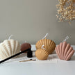 Shell Candle Set | Decorative Soy Wax, Home Decor