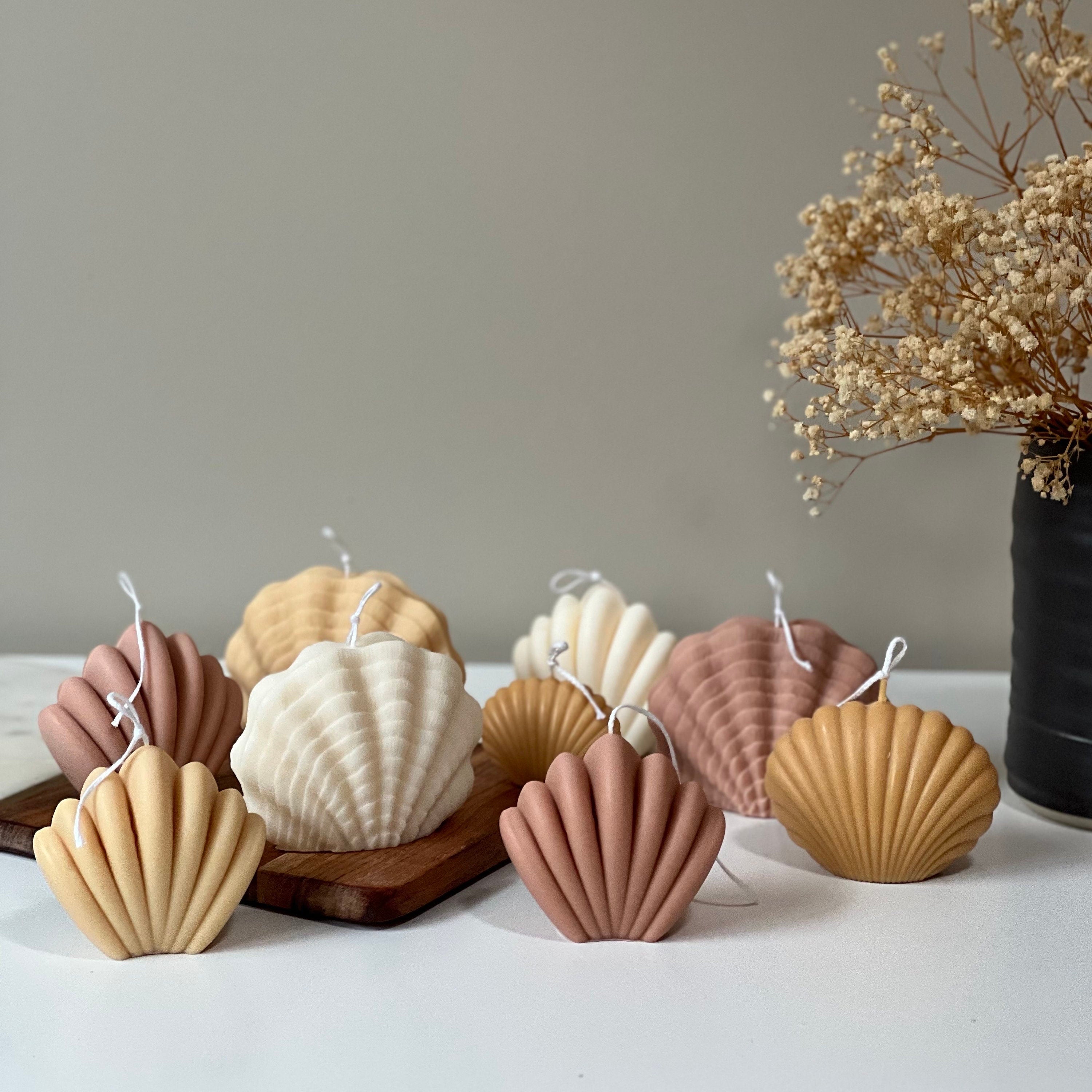 Shell Candle Set | Decorative Soy Wax, Home Decor