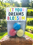 Seed Bombs - 3 Pack - Blooming Blessings - Gift of Appreciation, Motivation, and Inspiration - Canadian Wildflower