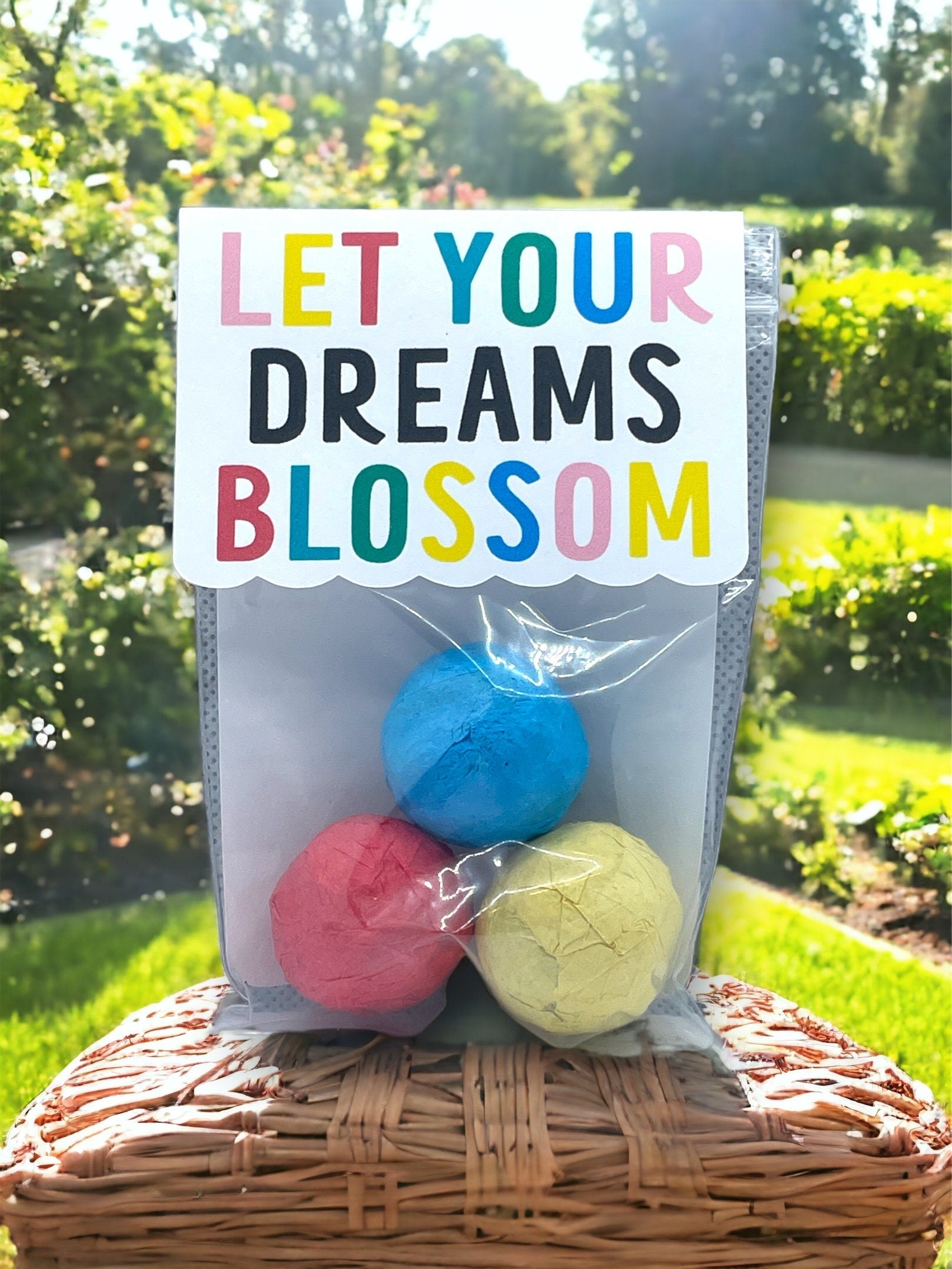 Seed Bombs - 3 Pack - Blooming Blessings - Gift of Appreciation, Motivation, and Inspiration - Canadian Wildflower