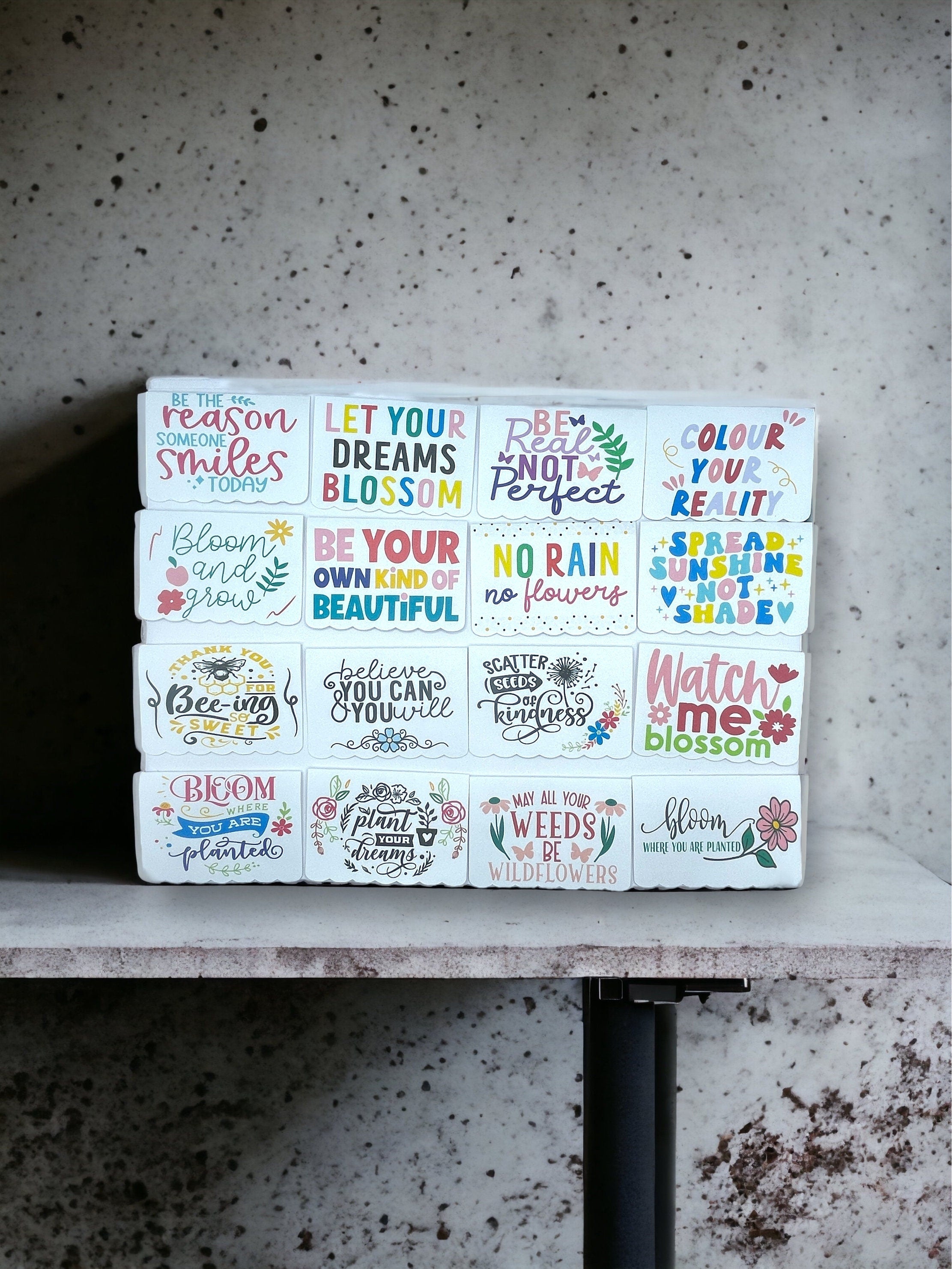Seed Bombs - 3 Pack - Blooming Blessings - Gift of Appreciation, Motivation, and Inspiration - Canadian Wildflower