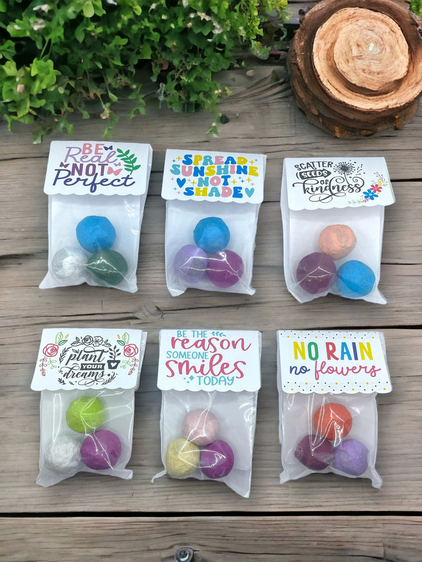 Seed Bombs - 3 Pack - Blooming Blessings - Gift of Appreciation, Motivation, and Inspiration - Canadian Wildflower