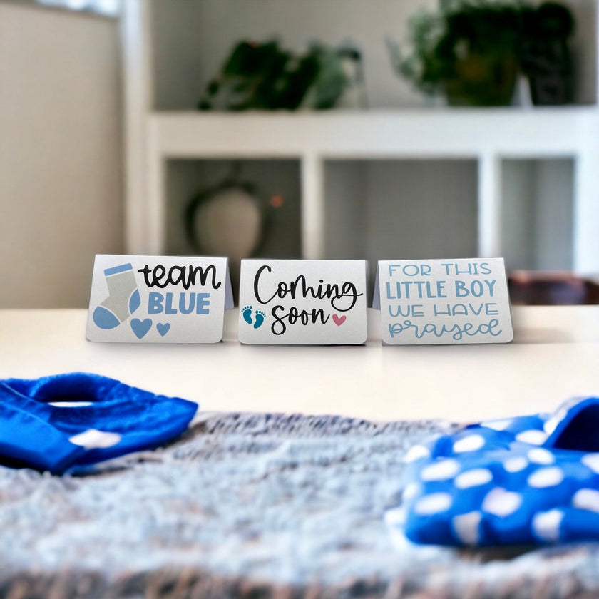Seed Bombs - 3 Pack - Baby Girl or Baby Boy or Twins Announcement for Baby Shower or Gender Reveal Party - Canadian Wildflower
