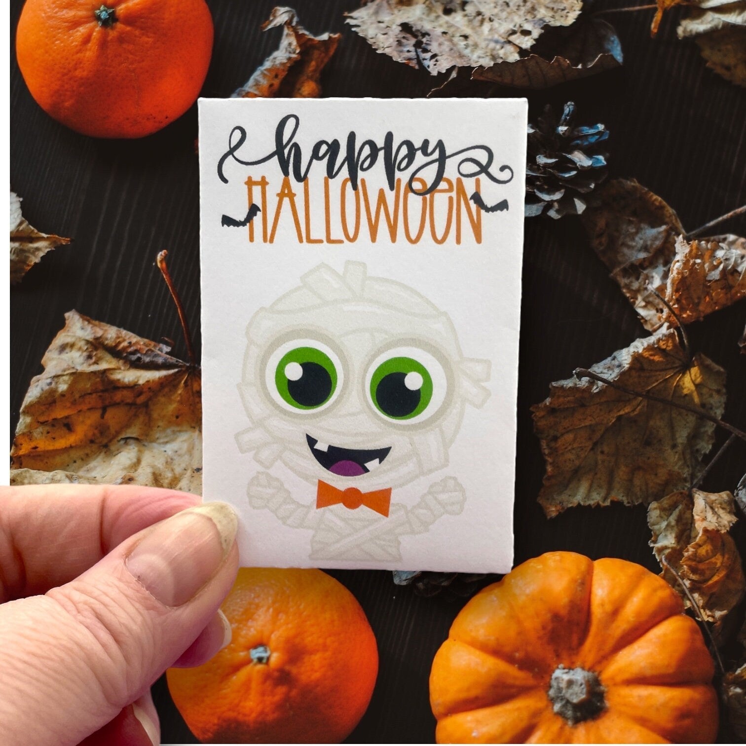 Seed Packages - Halloween - Themed for Party Favors or Trick or Treaters - Includes 10 Packages of Pumpkin Seeds