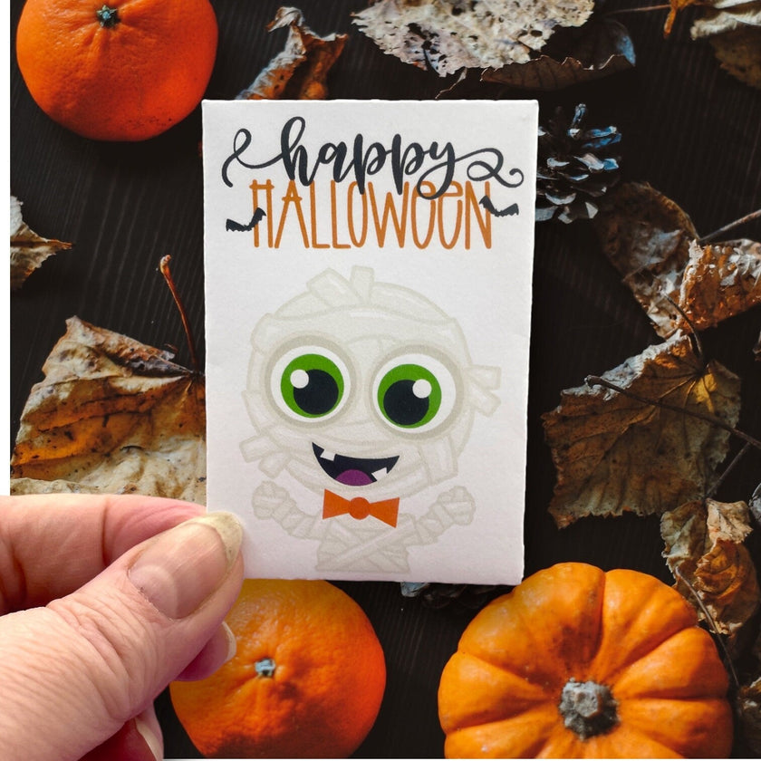 Seed Packages - Halloween - Themed for Party Favors or Trick or Treaters - Includes 10 Packages of Pumpkin Seeds