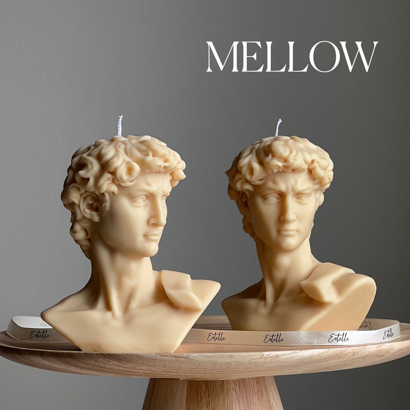 Michelangelo's David Head Candle | Soy Wax Bust Statue Candle