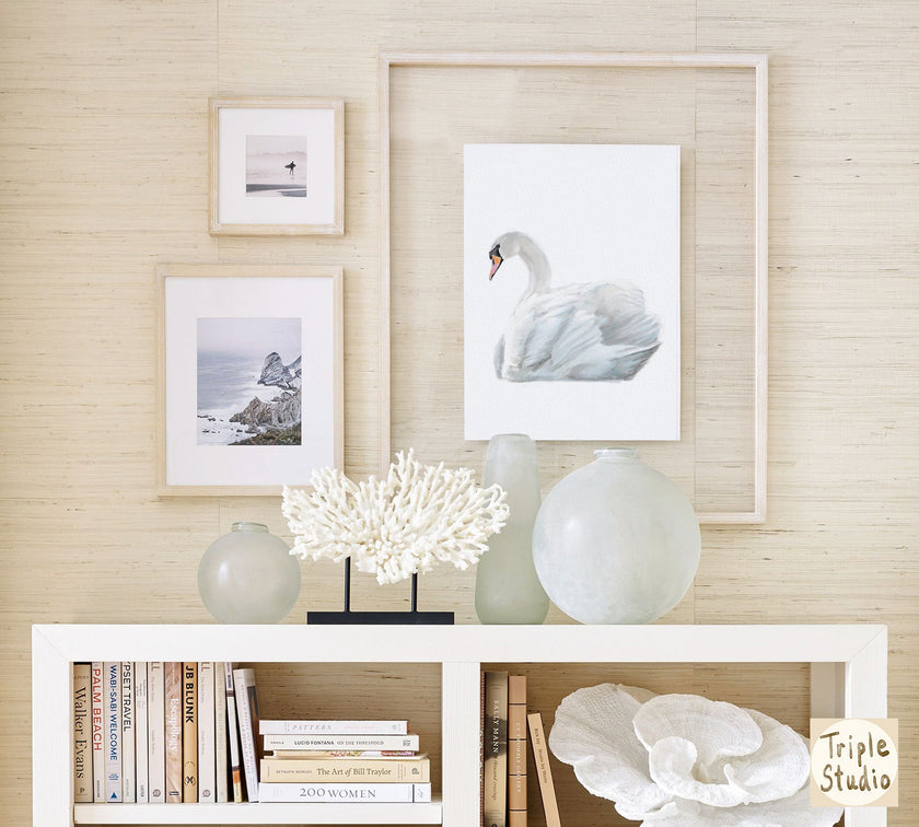 Swan Art Print