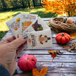 Seed Packages - Thanksgiving - Includes 10 Packages of Seeds