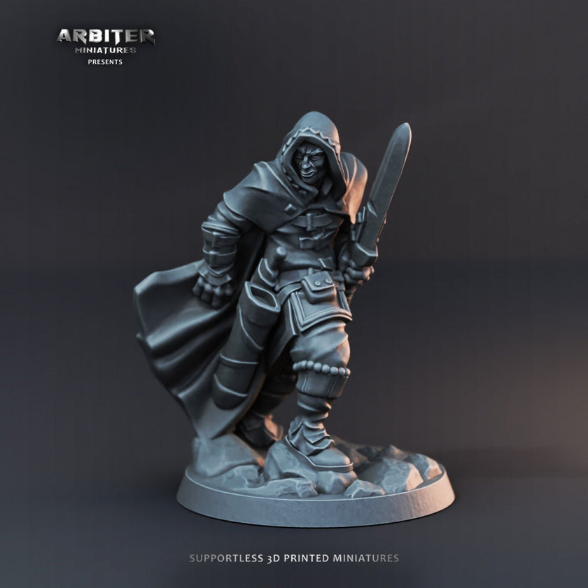 DnD Miniature Party Set 5 - 28mm Adventuring Group - Paladin | Monk | Sorcerer | Bard | Barbarian | Pathfinder