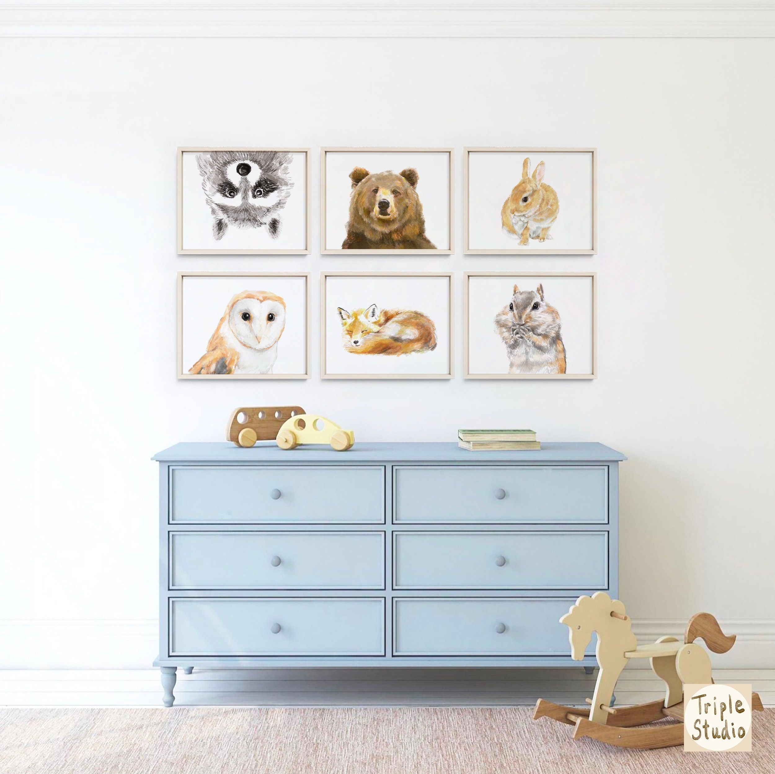 Raccoon Art Print