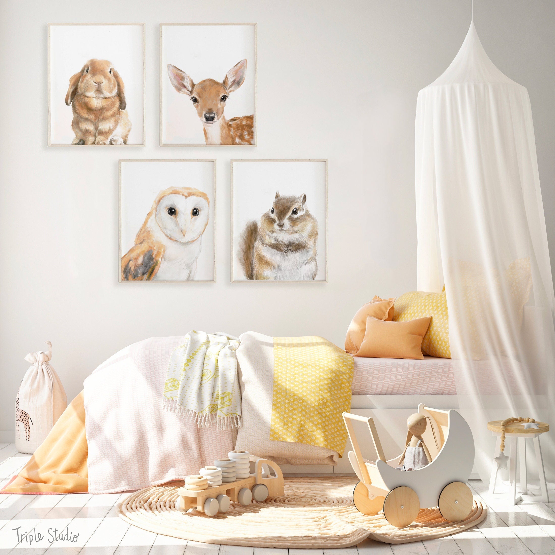 Barn Owl Art Print