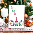 Seed Packages - Christmas - Bird Seed Gnome Designs - Ornament or Gift Tag - Includes 10 Packs of bird seed