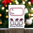 Seed Packages - Christmas - Gnome Designs - Ornament or Gift Tag - Includes 10 Packs of seeds