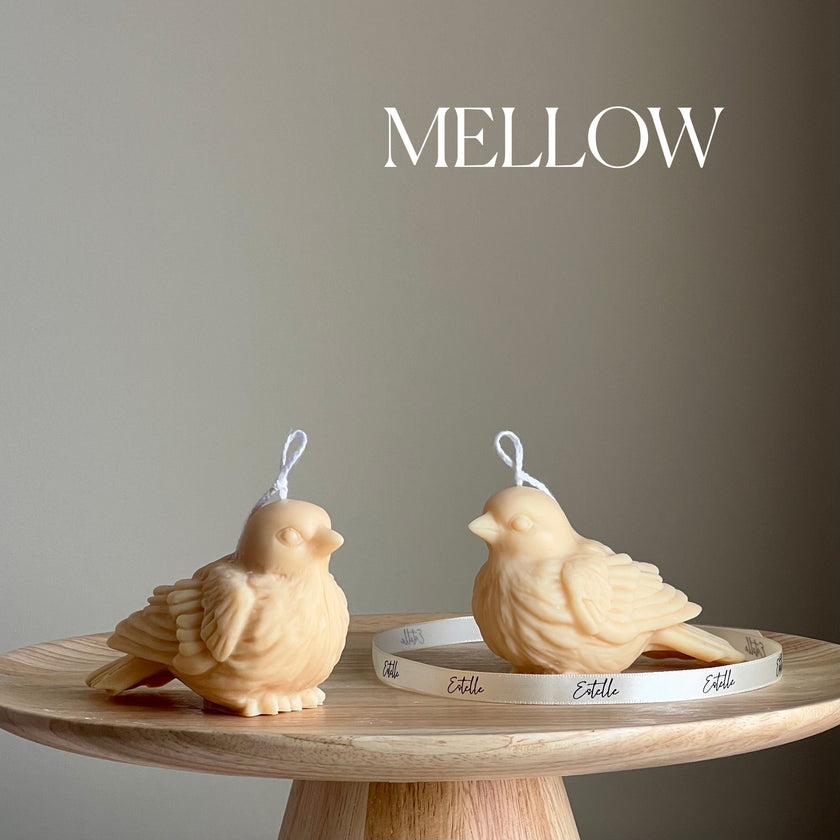 Handmade Bird Soy Candle | Home Decor