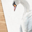 Swan Art Print