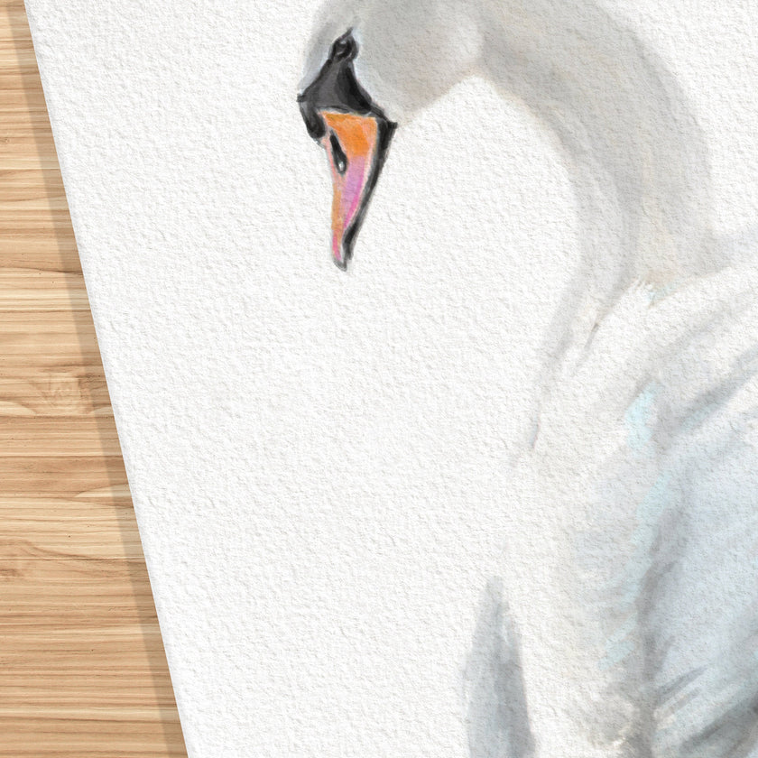 Swan Art Print
