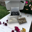Kit - Seed Bomb - DIY Kits - Create your own Green Oasis - Canadian Wildflower