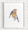 Robin Bird Friendship Print:  Scandinavian Wall Decor for Couples