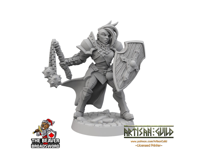 Female Human Fighter dnd Mini - Artisan Guild | Barbarian | Knight | Cleric | Paladin, Pathfinder, TTRPG, Wargaming, Warrior