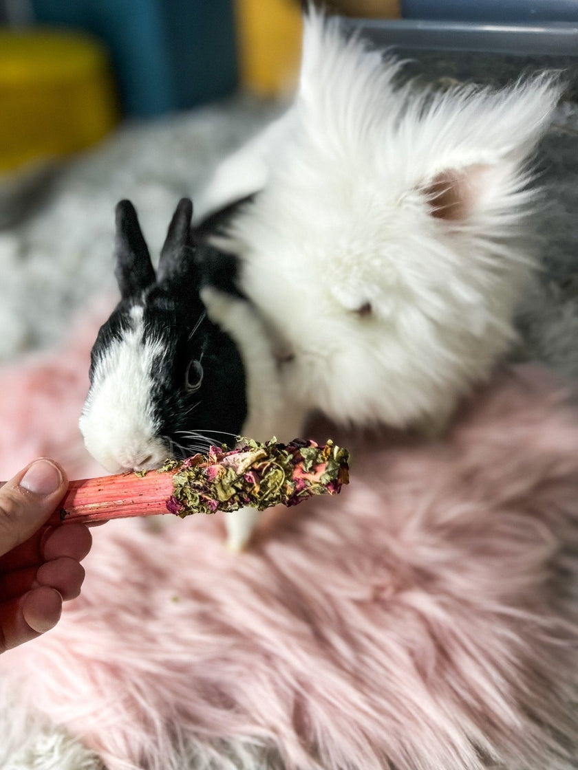 Bâtons de bambou sucrés enrobés de fleurs