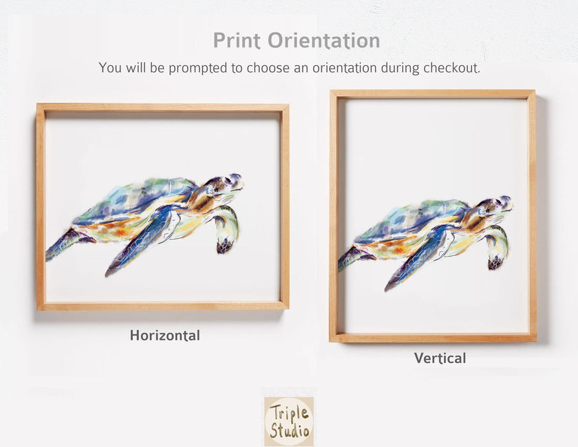 Turtle Art Print