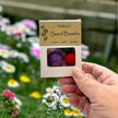 Seed Bombs - 6 Pack - Canadian Wildflower