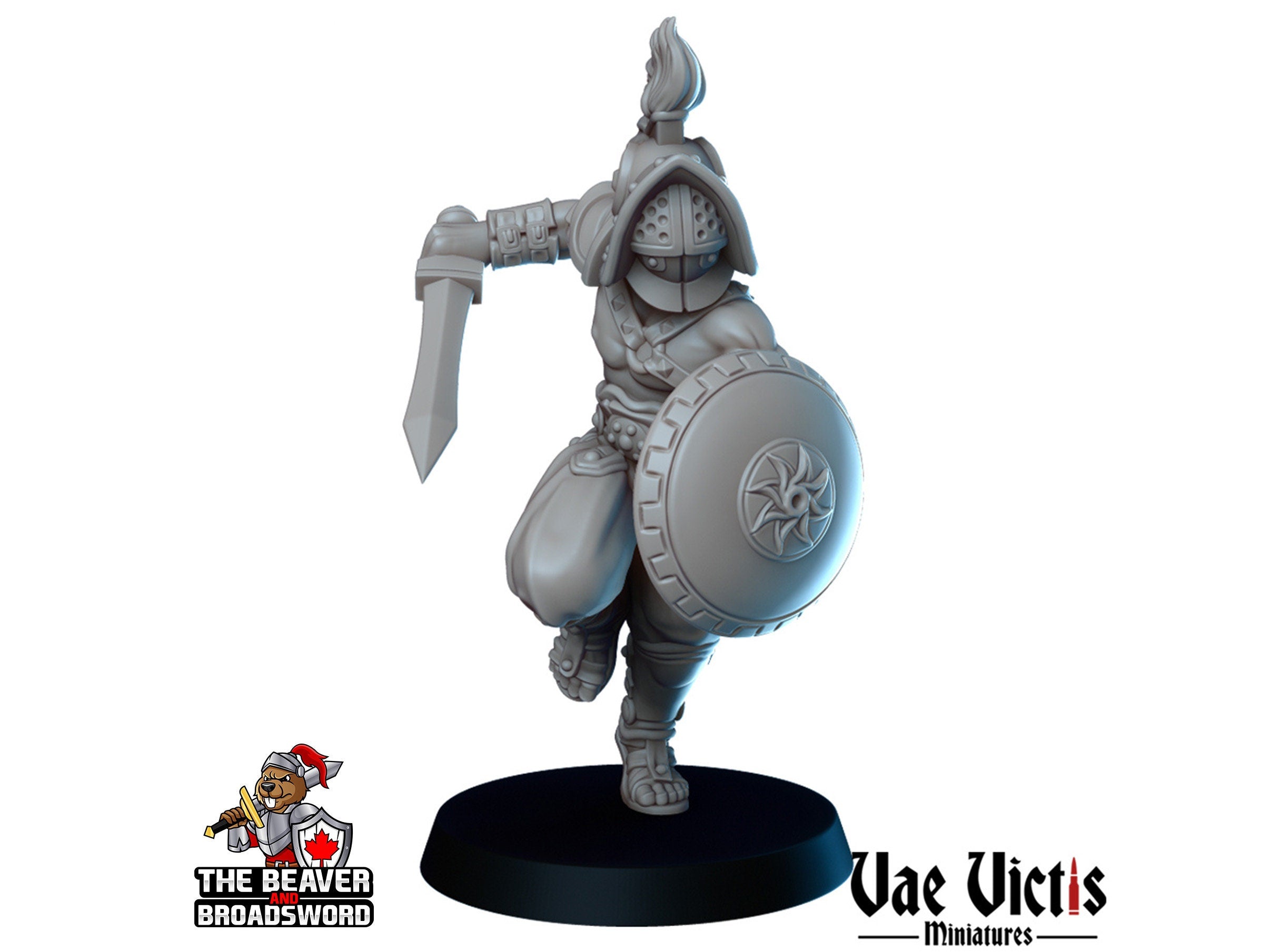 Gladiators mini Set - Vae Victis | DnD | Elf | Tabaxi | Goliath | Human | Arena | Fighter | Pathfinder |  Assassin | Wargaming