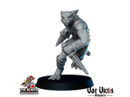Gladiators mini Set - Vae Victis | DnD | Elf | Tabaxi | Goliath | Human | Arena | Fighter | Pathfinder |  Assassin | Wargaming