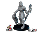Gladiators mini Set - Vae Victis | DnD | Elf | Tabaxi | Goliath | Human | Arena | Fighter | Pathfinder |  Assassin | Wargaming
