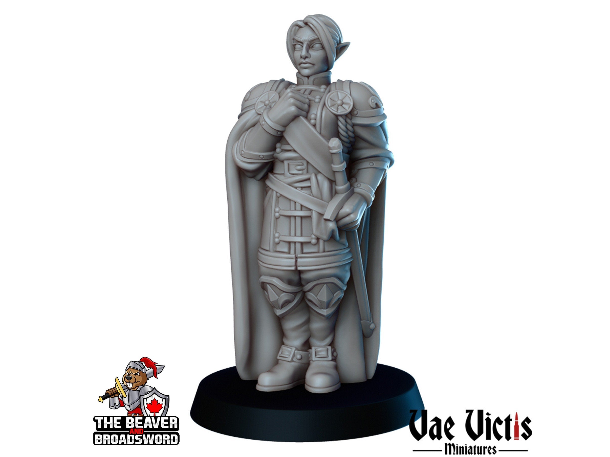 Royals Mini Set - Vae Victis | DnD | Human | King | Queen | Princess | Jester | Nobles | Villagers |  Townfolk | Wargaming | Pathfinder