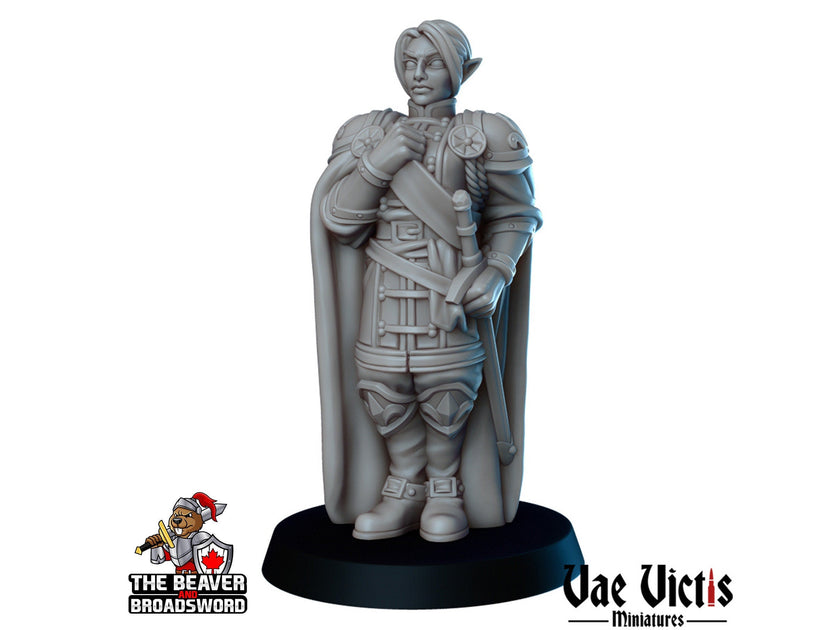 Royals Mini Set - Vae Victis | DnD | Human | King | Queen | Princess | Jester | Nobles | Villagers |  Townfolk | Wargaming | Pathfinder
