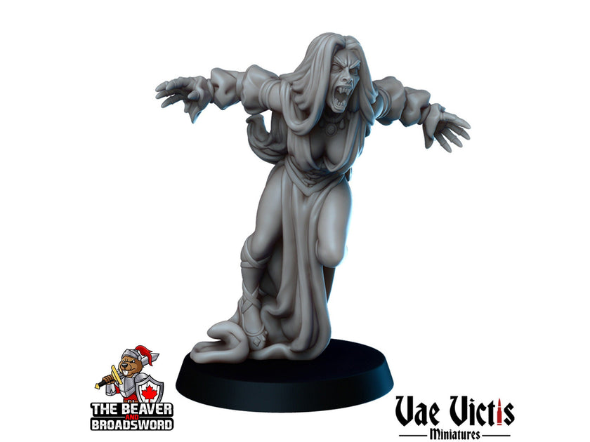 A Gothic Tale Mini Set - Vae Victis | Vampire | Strahd | Human | Hunter | Noble | Bundle | Lord | Adventurer |  Wargaming | Pathfinder