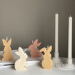 Easter Bunny Soy Candle Set: Pastel Spring Decor