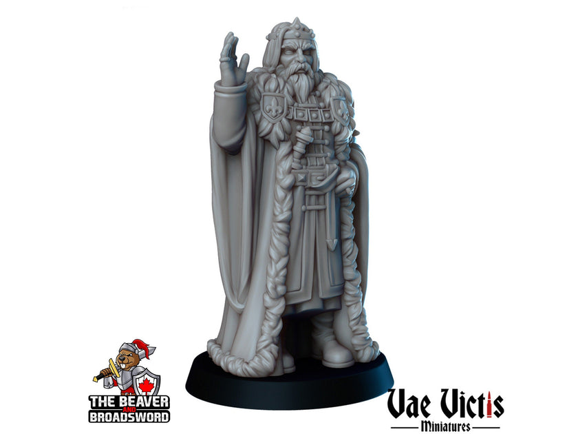 Royals Mini Set - Vae Victis | DnD | Human | King | Queen | Princess | Jester | Nobles | Villagers |  Townfolk | Wargaming | Pathfinder