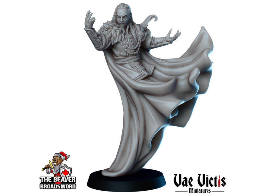 A Gothic Tale Mini Set - Vae Victis | Vampire | Strahd | Human | Hunter | Noble | Bundle | Lord | Adventurer |  Wargaming | Pathfinder