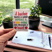 Seed Packages - Teacher Gift - Appreciation gift for educators - Includes 10 Packages of Canadian Wildflowers Seeds