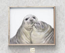 Seal with A Kiss Art Print:  Anniversary Gift for Animal Lovers